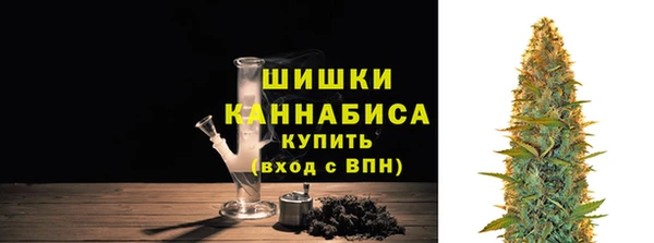 шишки Армянск