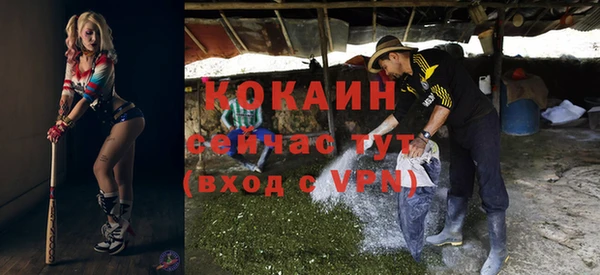 шишки Армянск