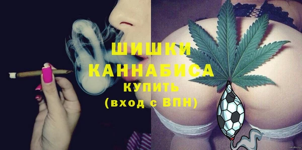 СК Арсеньев