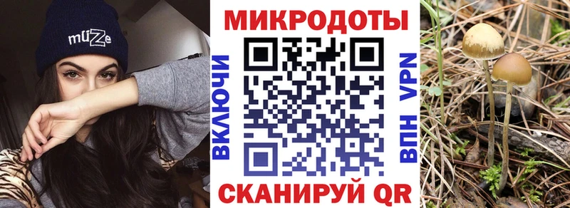 Галлюциногенные грибы Magic Shrooms  наркотики  Ржев 